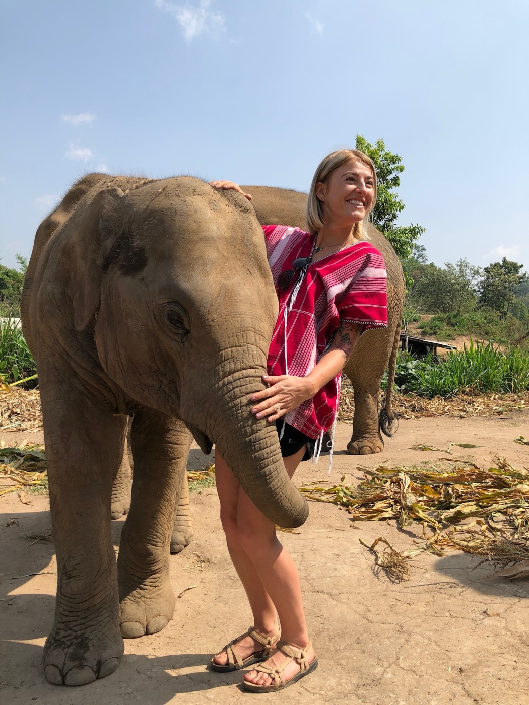 Hayley beside an elephant